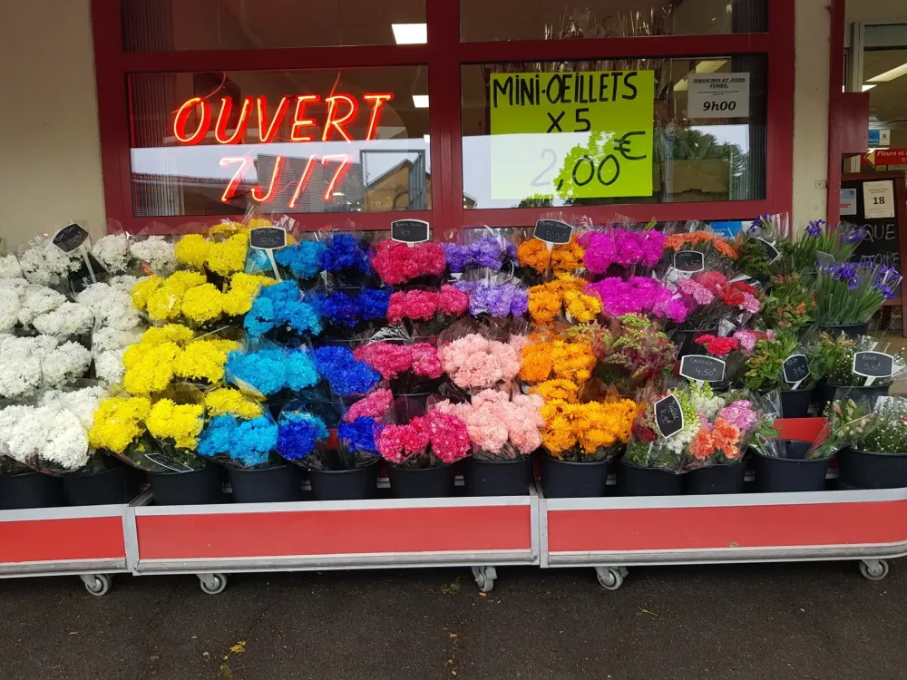Achat fleur près de Rixheim 