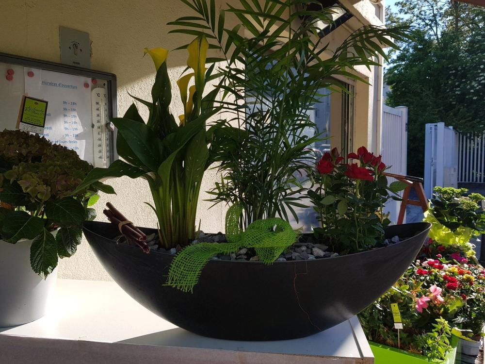 fleurs (122)