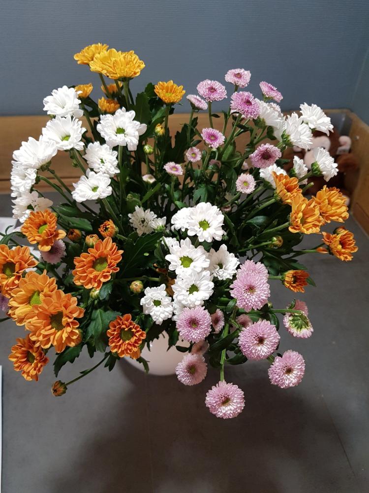 fleurs (126)