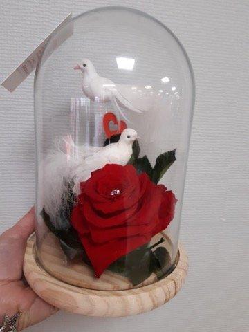 fleurs (91)