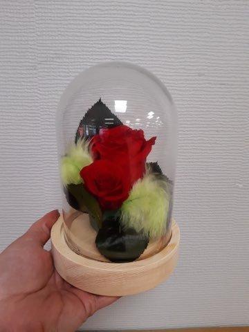 fleurs (92)