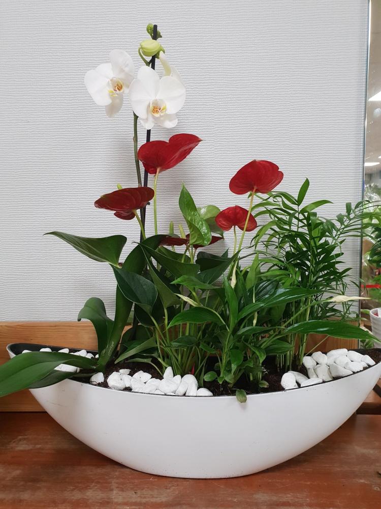 fleurs (35)