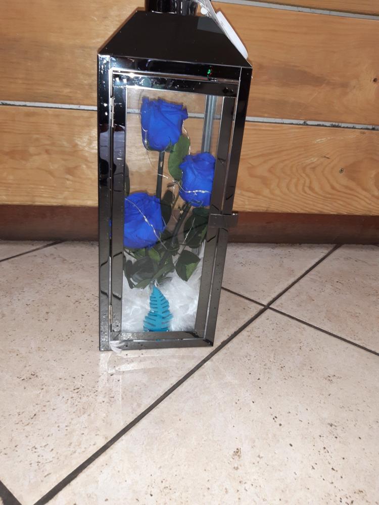 fleurs (29)