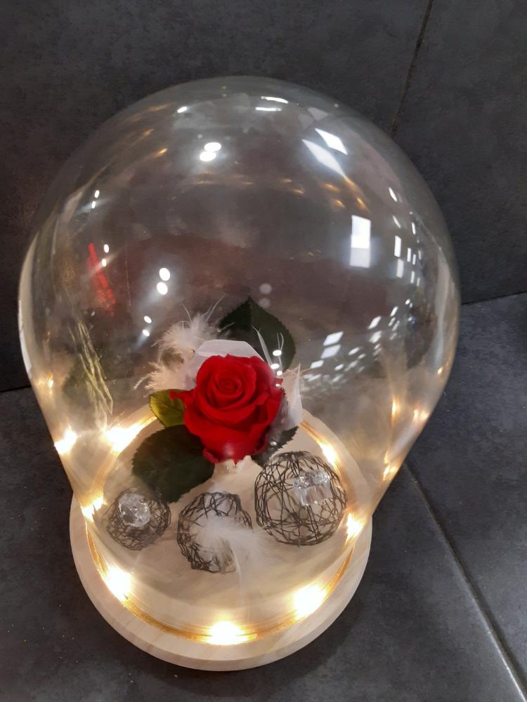 fleurs (26)