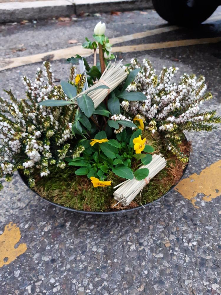 fleurs (22)