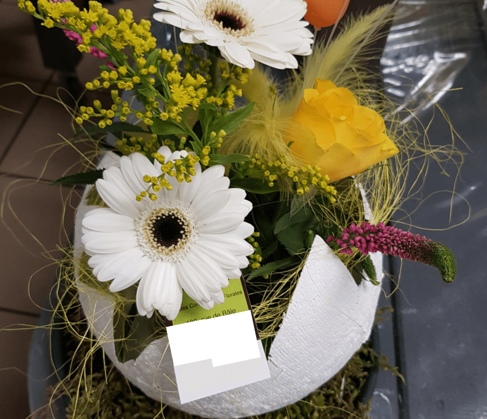 fleurs (4)